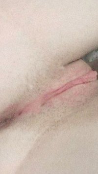 1647823361529