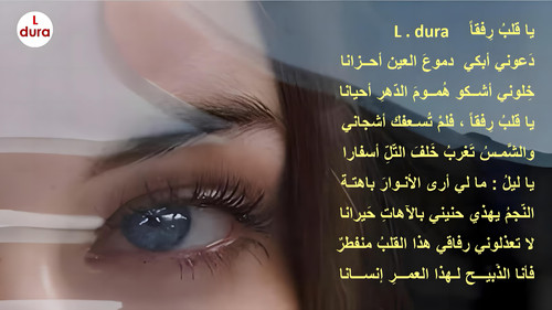 FB34T7e.md.jpg